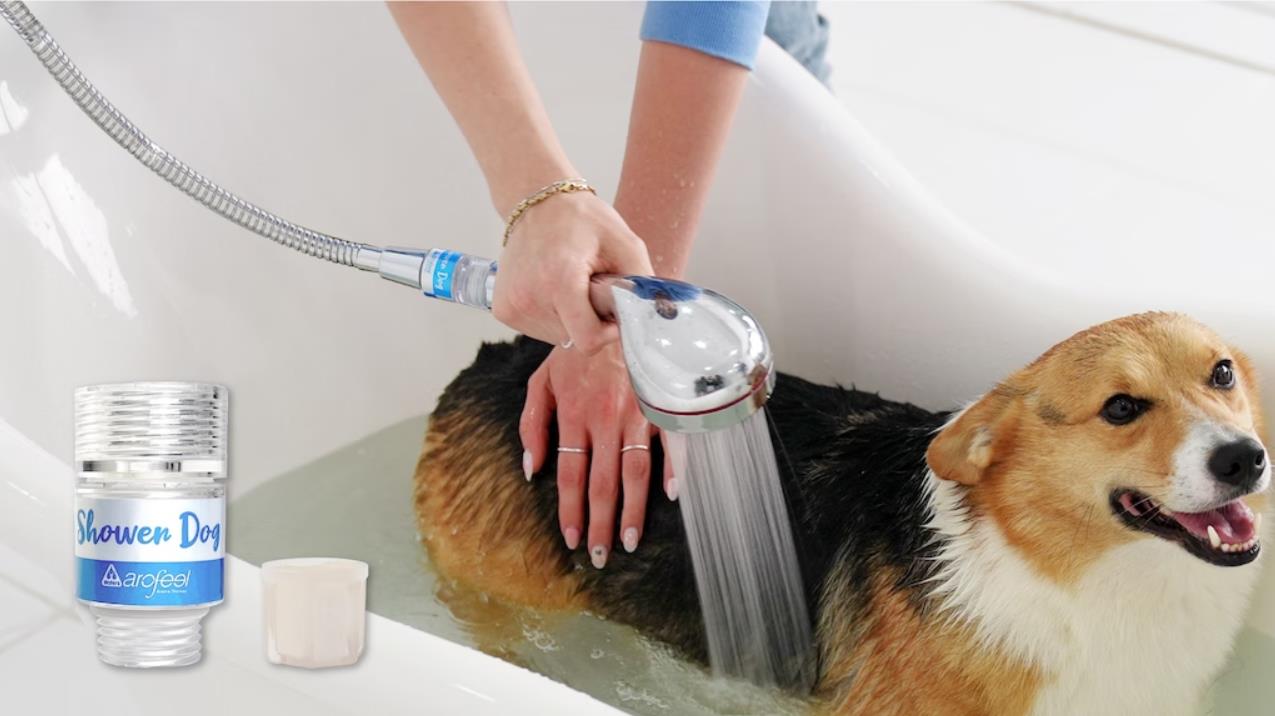 Shower Dog World’s First Shower Filter Exclusively for Dogs Backercrew